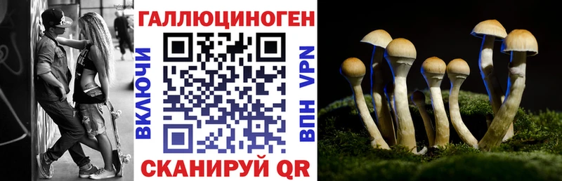 Купить  Вытегра  Псилоцибиновые грибы GOLDEN TEACHER 